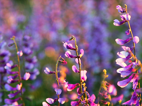 To the man on the bus with six&nbsp;fingers