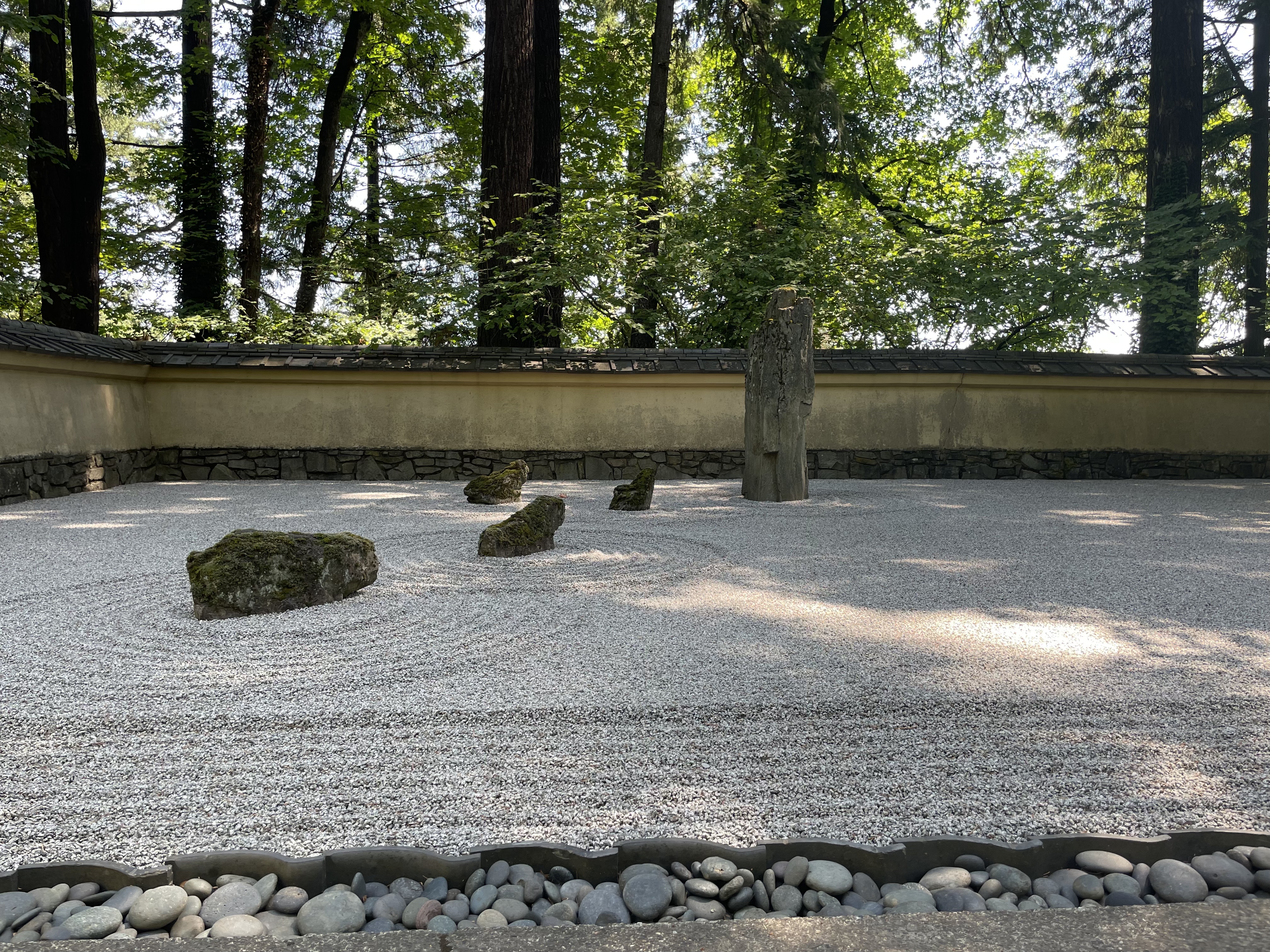 Snail Vigil Featured Image