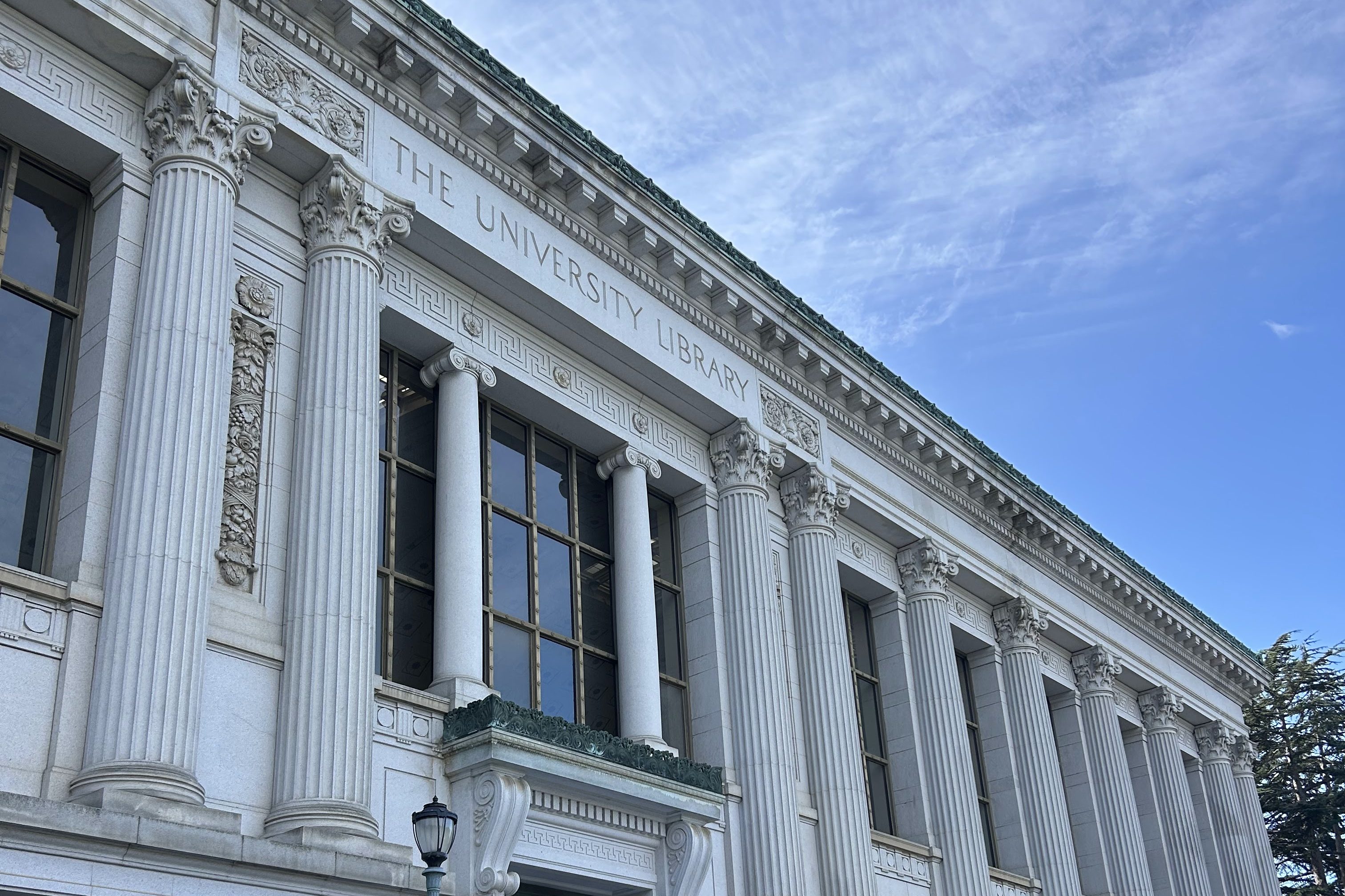 The Activist Featured Image